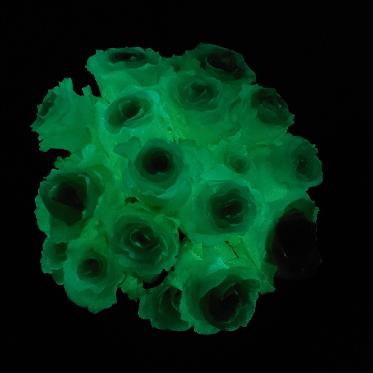 These Glow In The Dark Roses Are Scary Cool