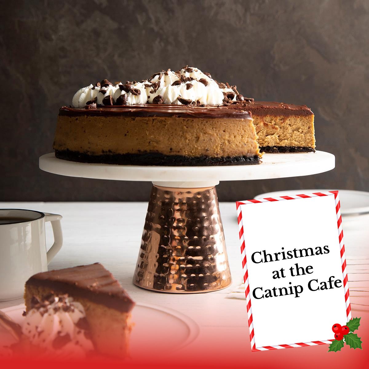 2025 Hallmark Holiday Movie Christmas At The Catnip Cafe