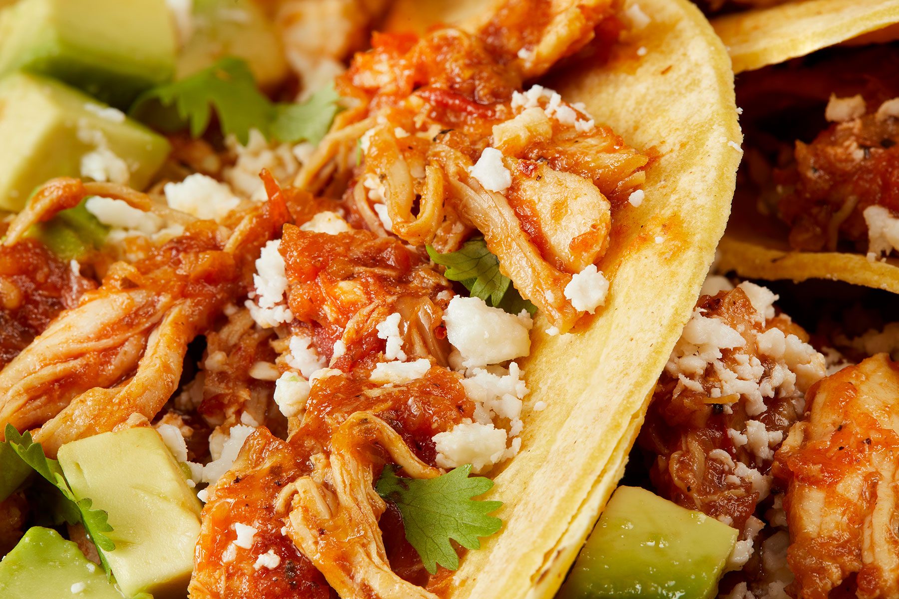 Chicken Tinga Tacos close up shot.