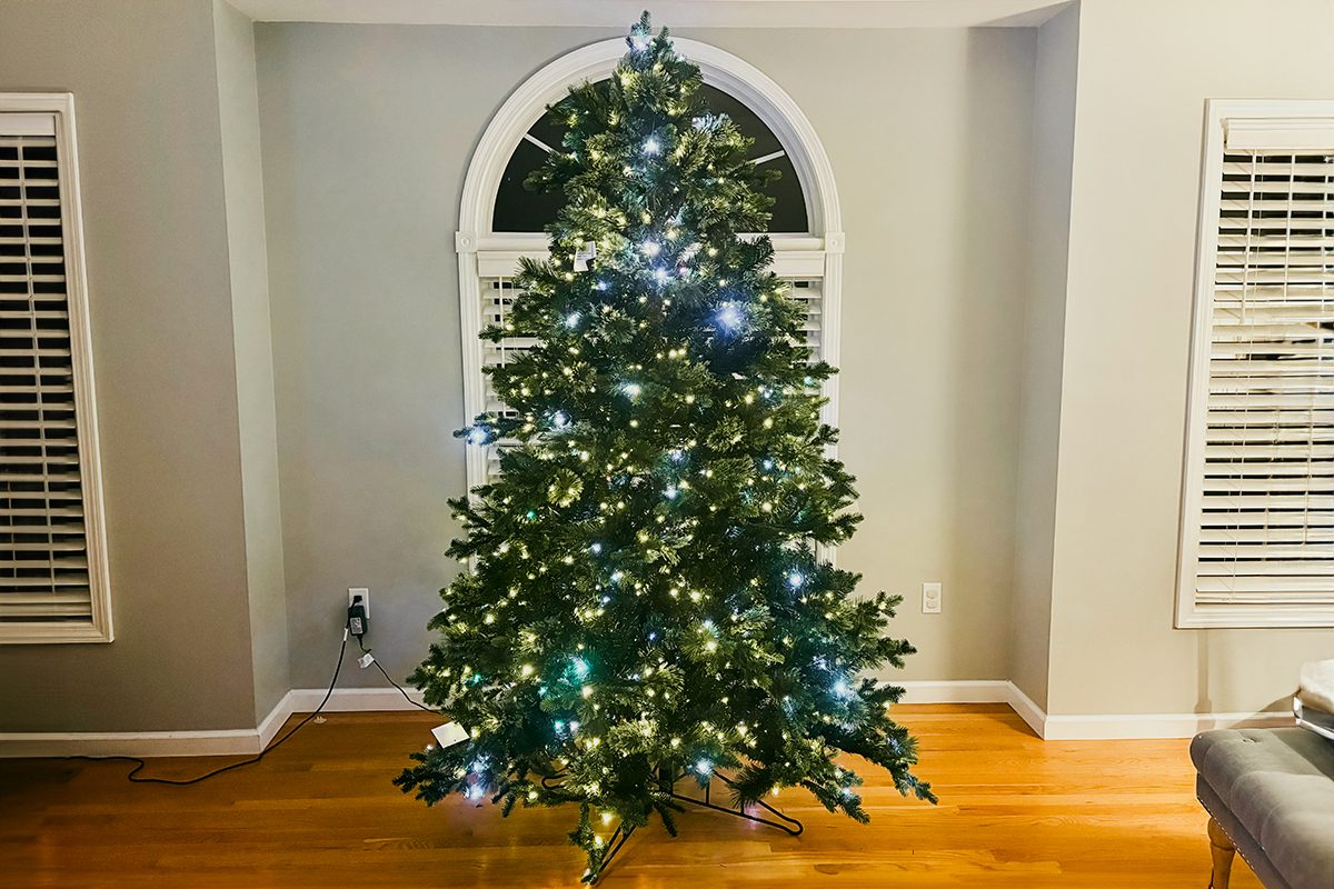 A decorated Christmas tree with white and blue lights stands in a room with wooden floors, white walls, and a large arched window behind it. There are no ornaments or presents under the tree.