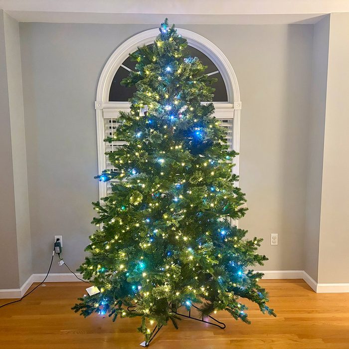 Toha25 Frontgate Scotch Christmas Tree Marisa Hillman 01 Ssedit