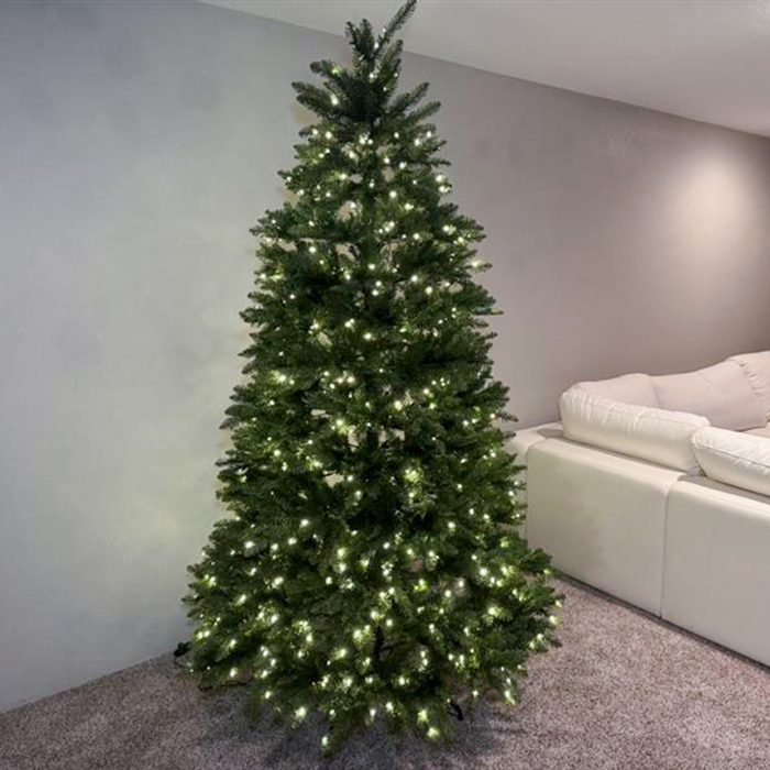 Toha25 King Of Christmas Yorkshire Fir Mary Henn 01 Ssedit